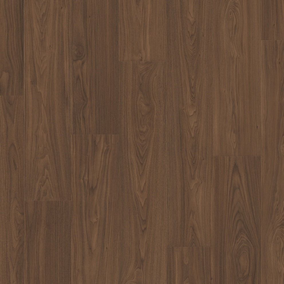 ChicWalnut