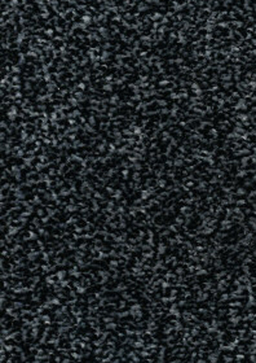 Iron