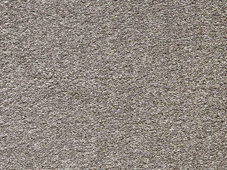 persiancat950