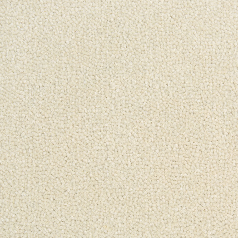 Maize