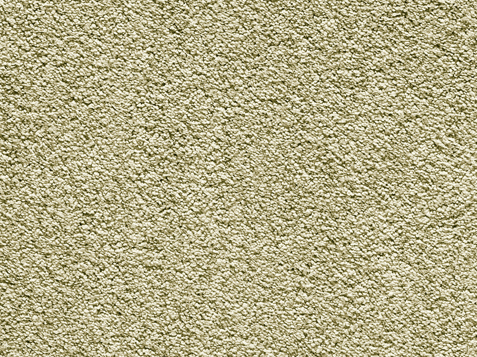 antiquemoss