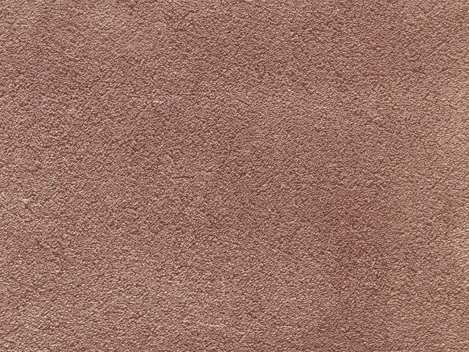 Eternity Amaryllis - 063 -  3.2 x 4