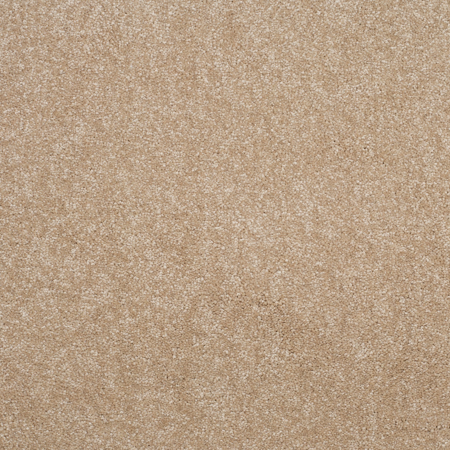 Eclipse - Almond Latte - 3.10 x 4