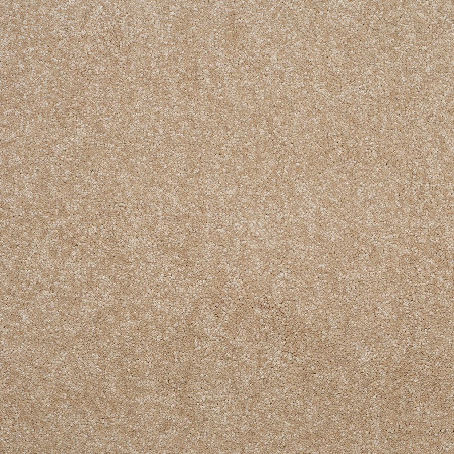 Eclipse - Almond Latte - 3.10 x 4