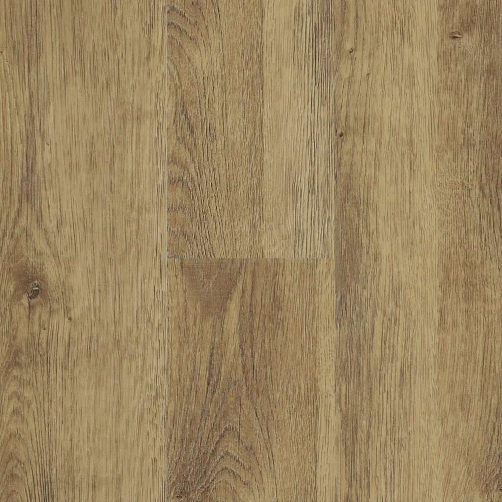 Carpentersoak