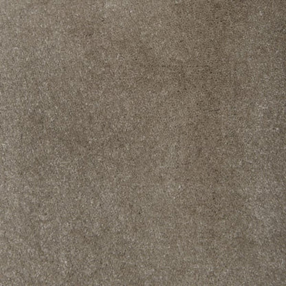Turtledove