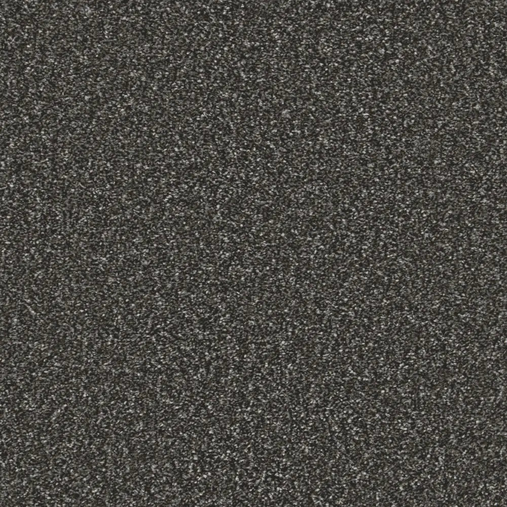 Essential-Saxony_Charcoal-Frost-2712