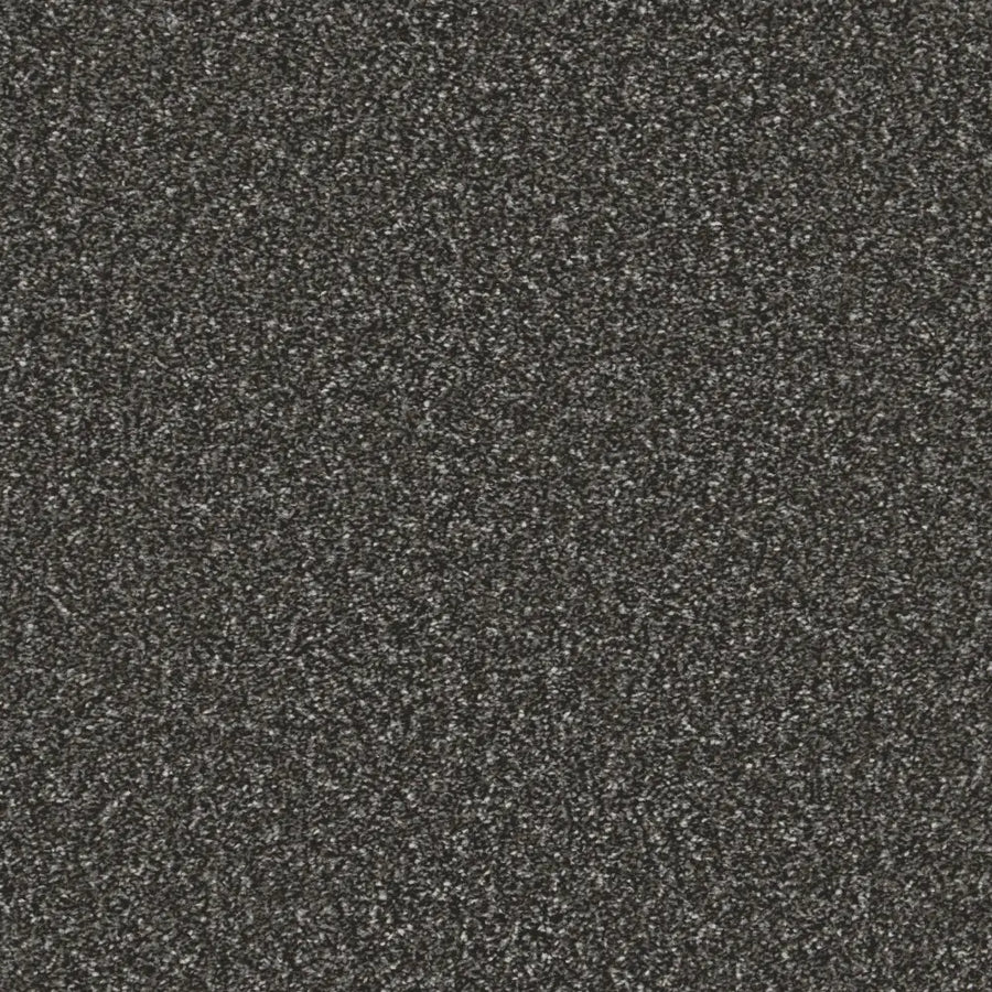Essential-Saxony_Charcoal-Frost-2712