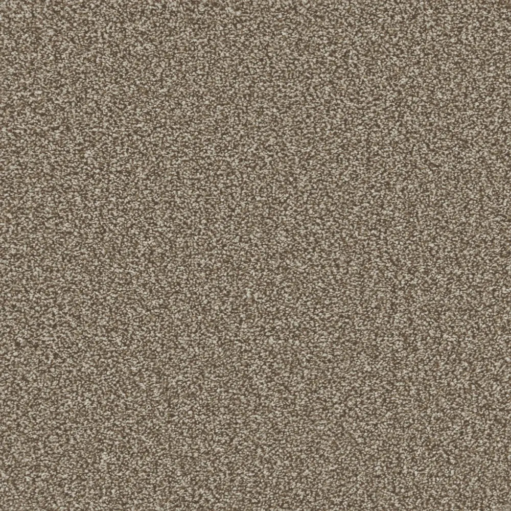 Essential-Saxony_Forest-Taupe-2702