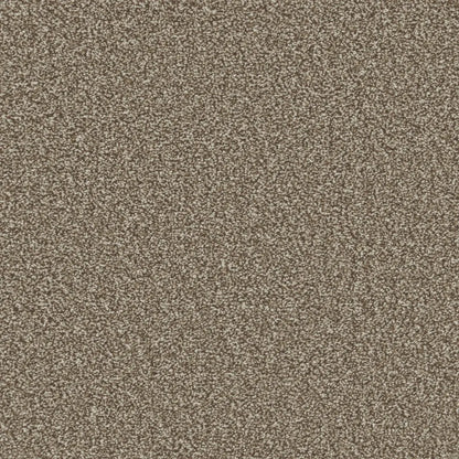 Essential-Saxony_Forest-Taupe-2702