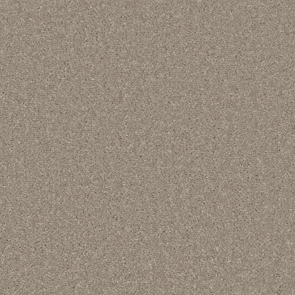 Essential-Saxony_Oyster-Shell-2708