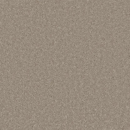 Essential-Saxony_Oyster-Shell-2708