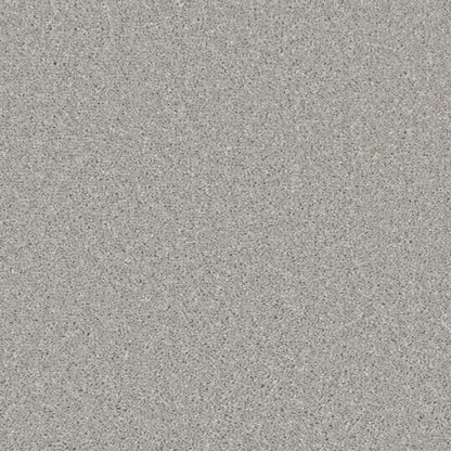 Essential-Saxony_Pale-Dove-2710