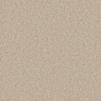 Essential-Saxony_Sand-Drift-2706