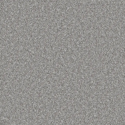 Essential-Saxony_Silver-Haze-2711