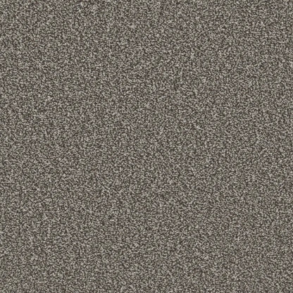 Essential-Saxony_Smoked-Pebble-2701
