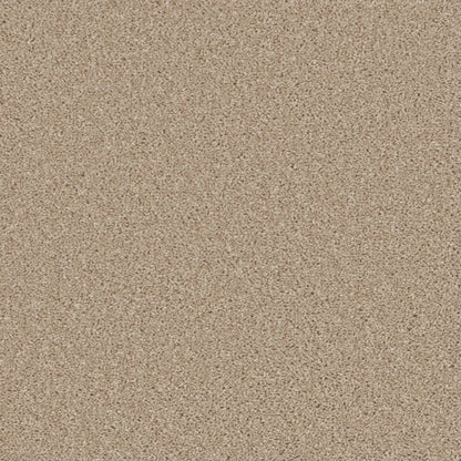Essential-Saxony_Toasted-Almond-2701