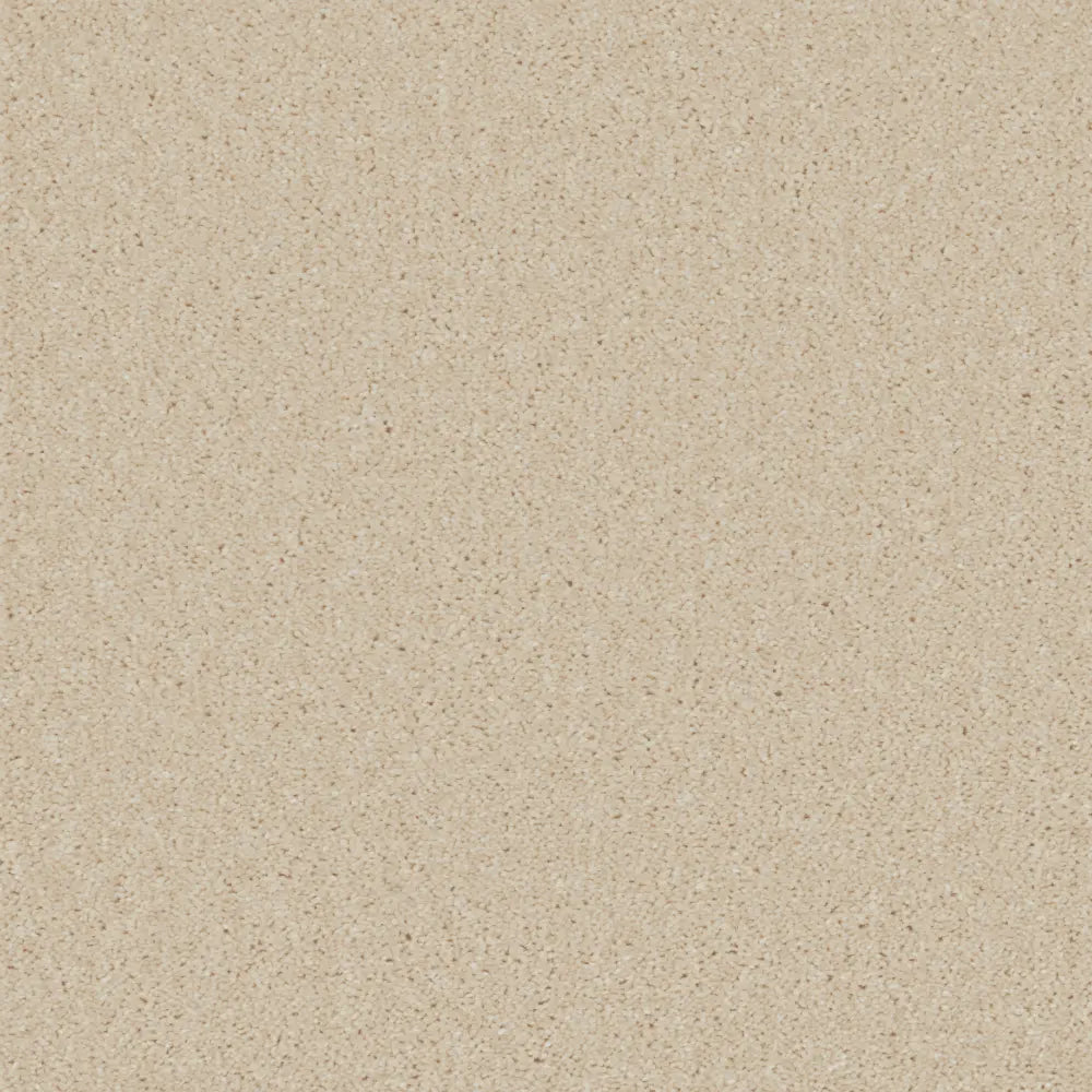 Essential-Saxony_Vanilla-Cream-2705