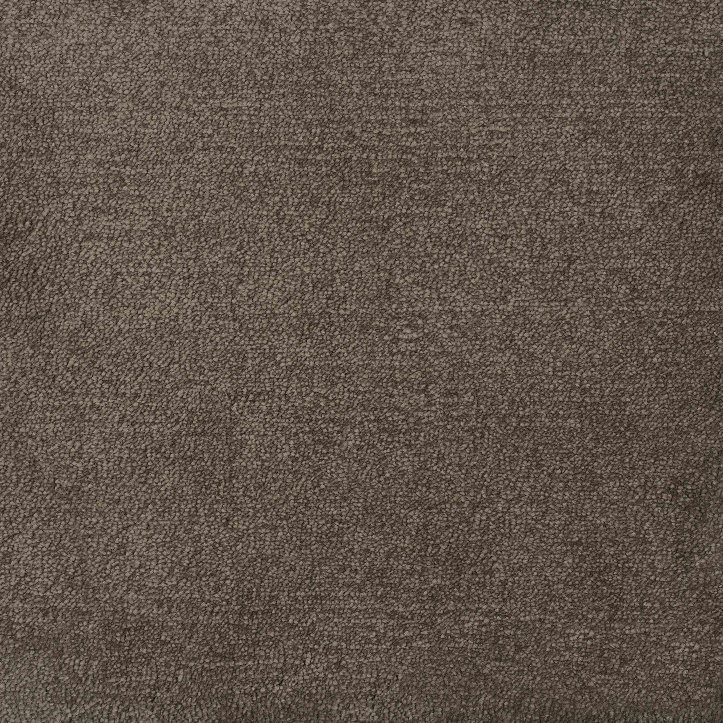 Delight Grounded - 4.39 x 4