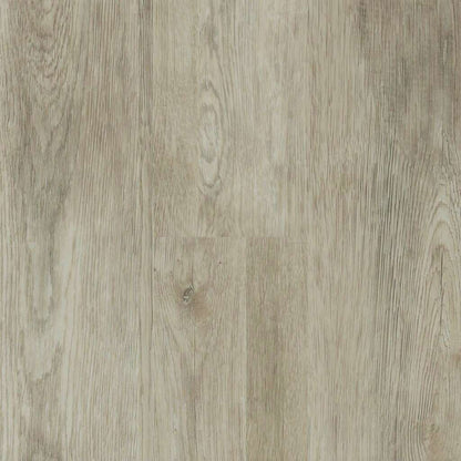 Paleoak