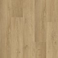 Coretec Essentials 1200 + Rusted oak 50