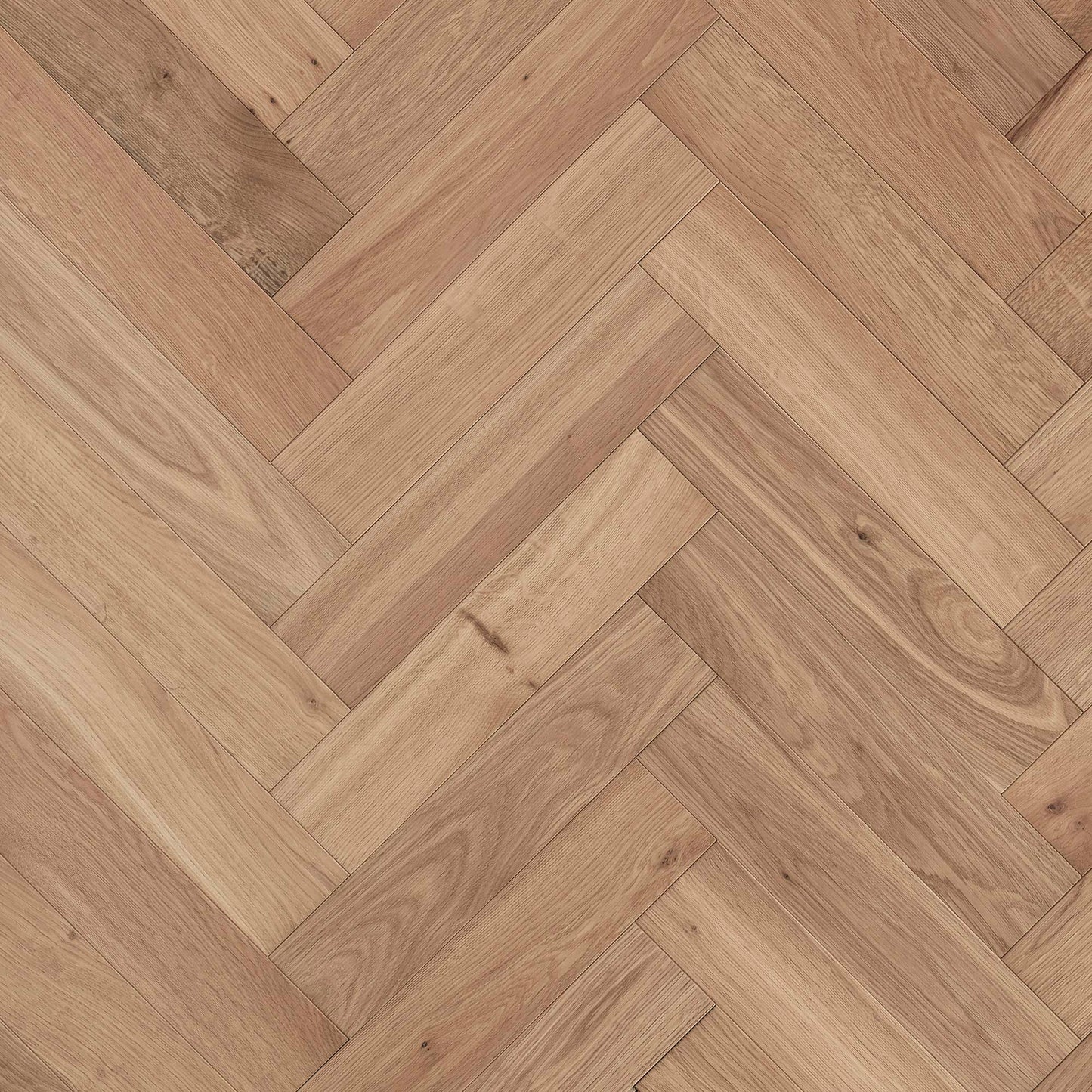 White Smoked Oak ZB203