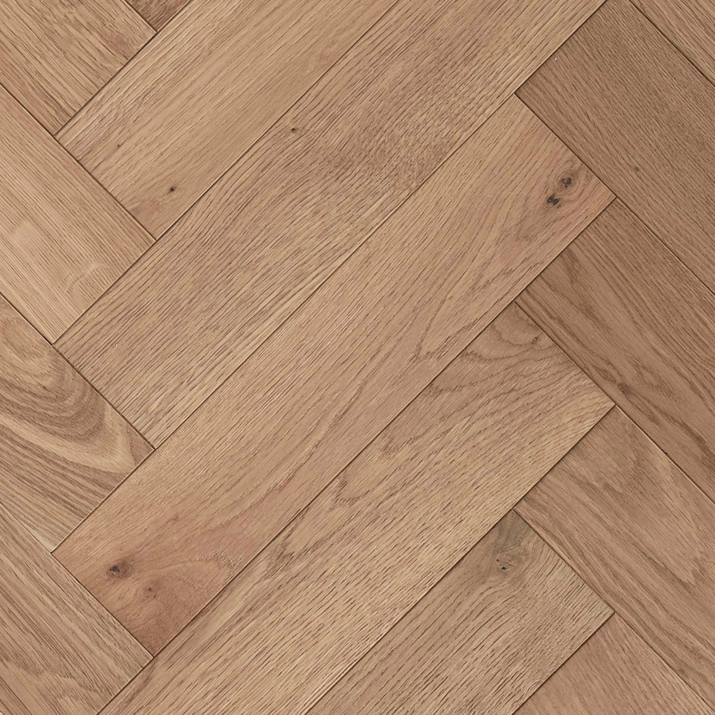 White Smoked Oak ZB203