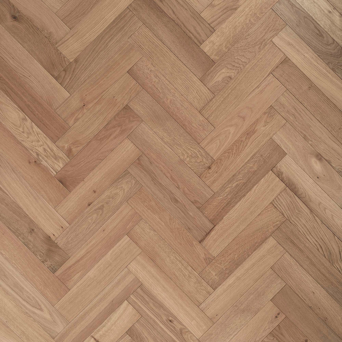 White Smoked Oak ZB203